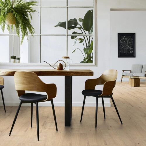 Δάπεδο Laminate Kronostep Oak Zermatt Casor 2413 8mm με αρμό ΑC5/33 - Image 2